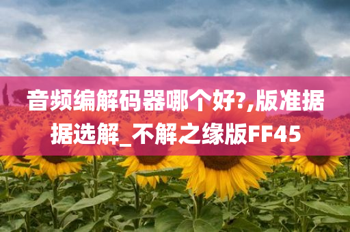 音频编解码器哪个好?,版准据据选解_不解之缘版FF45