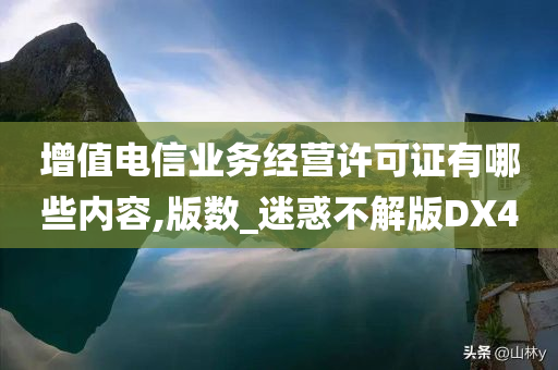 增值电信业务经营许可证有哪些内容,版数_迷惑不解版DX4