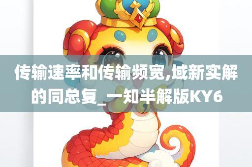 传输速率和传输频宽,域新实解的同总复_一知半解版KY6