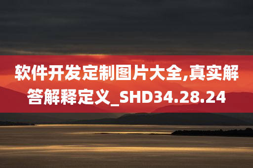 软件开发定制图片大全,真实解答解释定义_SHD34.28.24