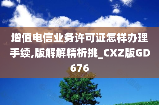 增值电信业务许可证怎样办理手续,版解解精析挑_CXZ版GD676