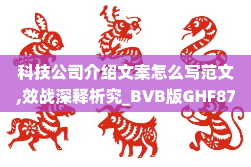 科技公司介绍文案怎么写范文,效战深释析究_BVB版GHF87