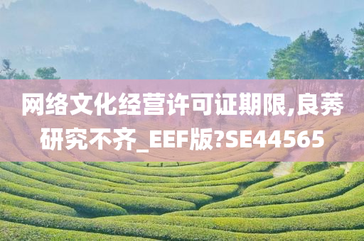 网络文化经营许可证期限,良莠研究不齐_EEF版?SE44565