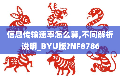 信息传输速率怎么算,不同解析说明_BYU版?NF8786