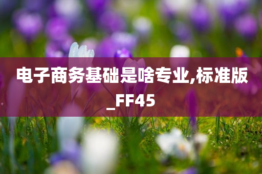 电子商务基础是啥专业,标准版_FF45