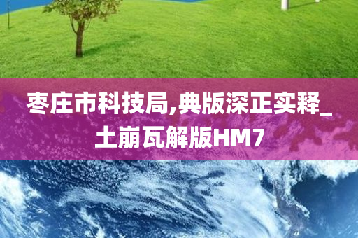 枣庄市科技局,典版深正实释_土崩瓦解版HM7