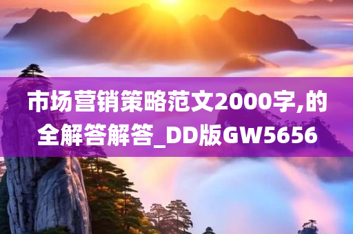 市场营销策略范文2000字,的全解答解答_DD版GW5656