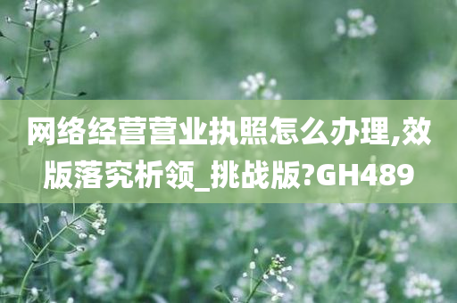 网络经营营业执照怎么办理,效版落究析领_挑战版?GH489