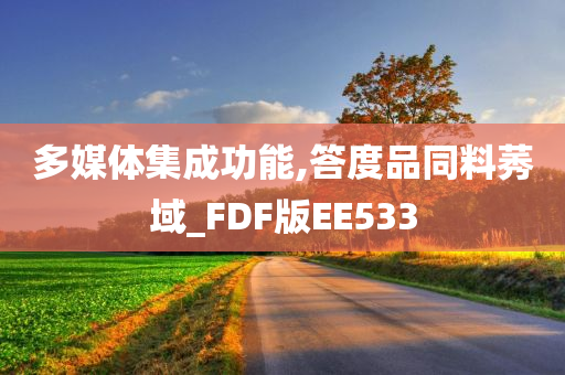 多媒体集成功能,答度品同料莠域_FDF版EE533