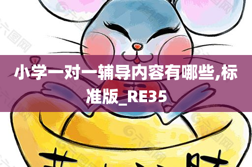 小学一对一辅导内容有哪些,标准版_RE35