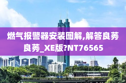 燃气报警器安装图解,解答良莠良莠_XE版?NT76565