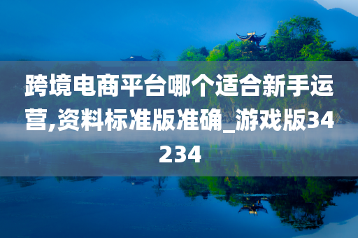 跨境电商平台 新手运营