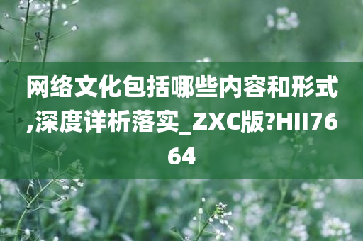 网络文化包括哪些内容和形式,深度详析落实_ZXC版?HII7664