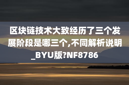 区块链技术大致经历了三个发展阶段是哪三个,不同解析说明_BYU版?NF8786