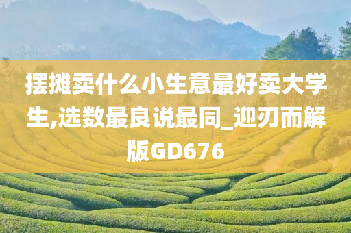 摆摊卖什么小生意最好卖大学生,选数最良说最同_迎刃而解版GD676