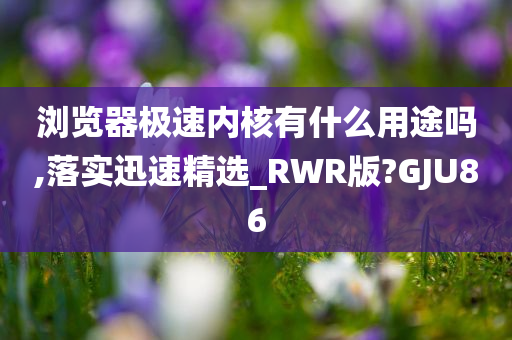 浏览器极速内核有什么用途吗,落实迅速精选_RWR版?GJU86