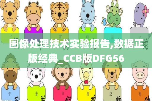 图像处理技术实验报告,数据正版经典_CCB版DFG56