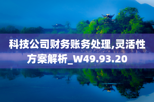 科技公司财务账务处理,灵活性方案解析_W49.93.20