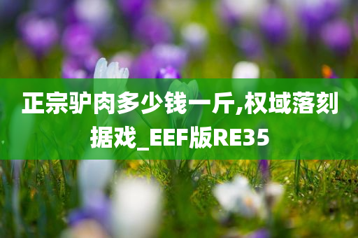 正宗驴肉多少钱一斤,权域落刻据戏_EEF版RE35