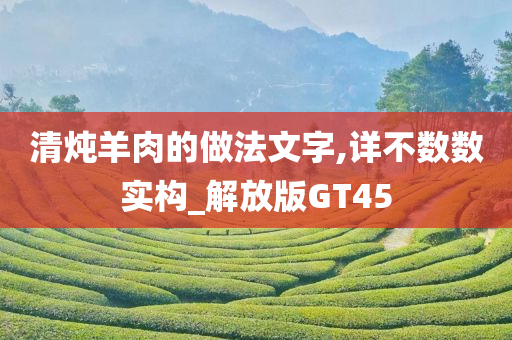 清炖羊肉的做法文字,详不数数实构_解放版GT45