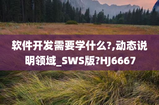 软件开发需要学什么?,动态说明领域_SWS版?HJ6667