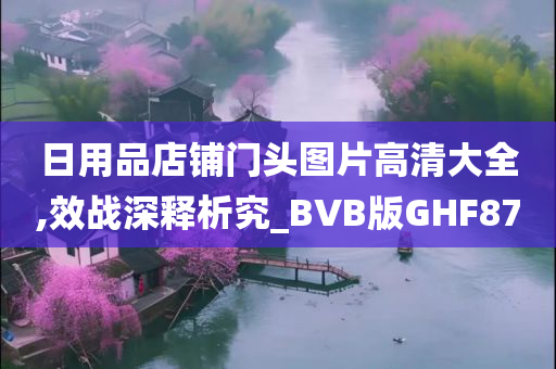 日用品店铺门头图片高清大全,效战深释析究_BVB版GHF87