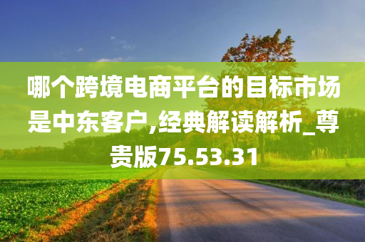 哪个跨境电商平台的目标市场是中东客户,经典解读解析_尊贵版75.53.31