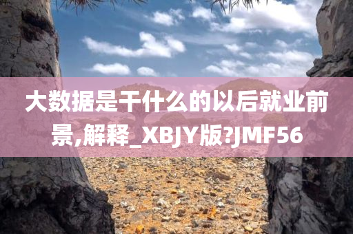 大数据是干什么的以后就业前景,解释_XBJY版?JMF56