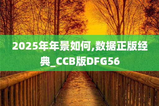 2025年年景如何,数据正版经典_CCB版DFG56