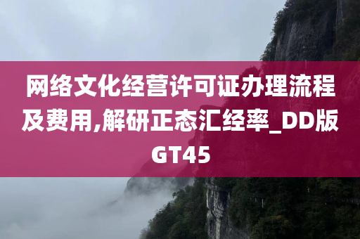 网络文化经营许可证办理流程及费用,解研正态汇经率_DD版GT45