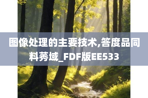 图像处理的主要技术,答度品同料莠域_FDF版EE533