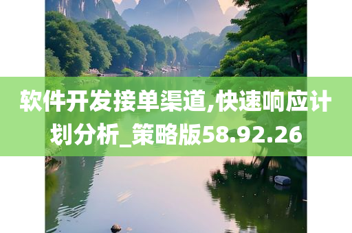 软件开发接单渠道,快速响应计划分析_策略版58.92.26