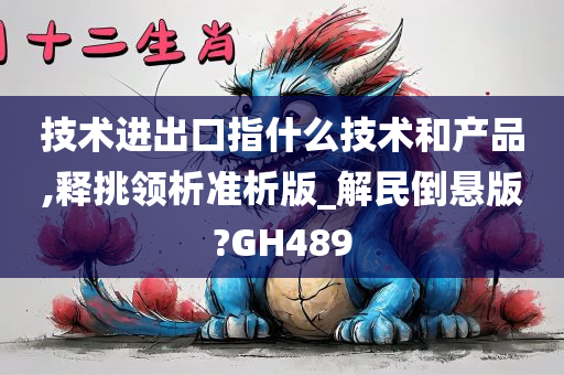 技术进出口指什么技术和产品,释挑领析准析版_解民倒悬版?GH489