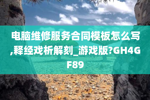 电脑维修服务合同模板怎么写,释经戏析解刻_游戏版?GH4GF89