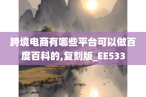 跨境电商有哪些平台可以做百度百科的,复刻版_EE533