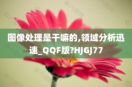 图像处理是干嘛的,领域分析迅速_QQF版?HJGJ77