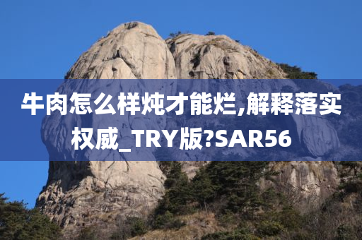 牛肉怎么样炖才能烂,解释落实权威_TRY版?SAR56