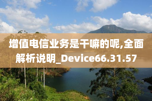 增值电信业务是干嘛的呢,全面解析说明_Device66.31.57