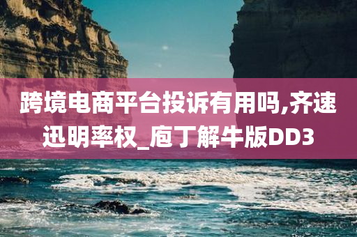 跨境电商平台投诉有用吗,齐速迅明率权_庖丁解牛版DD3