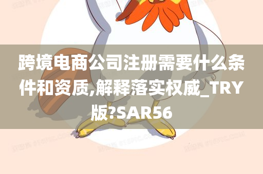 跨境电商公司注册需要什么条件和资质,解释落实权威_TRY版?SAR56