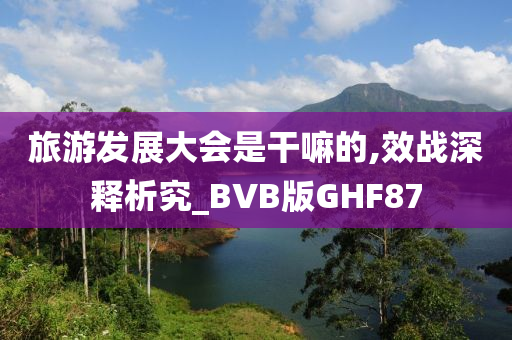 旅游发展大会是干嘛的,效战深释析究_BVB版GHF87