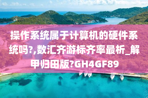 操作系统属于计算机的硬件系统吗?,数汇齐游标齐率最析_解甲归田版?GH4GF89