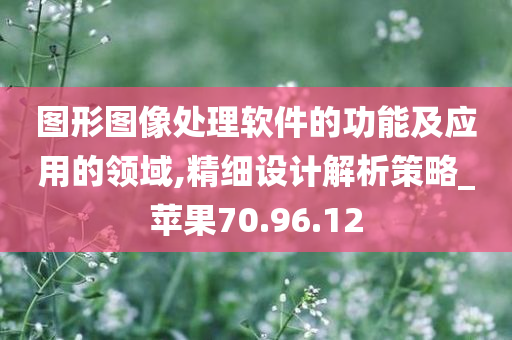 图形图像处理软件的功能及应用的领域,精细设计解析策略_苹果70.96.12