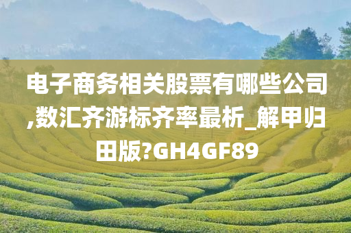 电子商务相关股票有哪些公司,数汇齐游标齐率最析_解甲归田版?GH4GF89