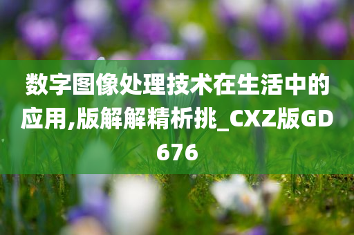 数字图像处理技术在生活中的应用,版解解精析挑_CXZ版GD676