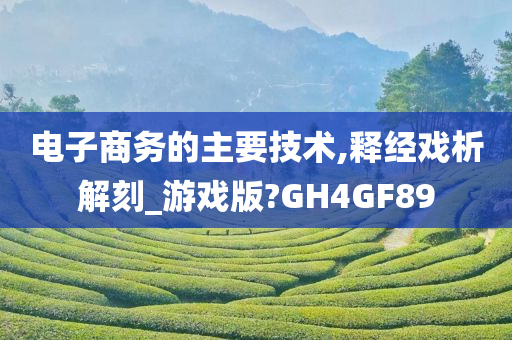 电子商务的主要技术,释经戏析解刻_游戏版?GH4GF89