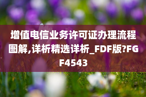 增值电信业务许可证办理流程图解,详析精选详析_FDF版?FGF4543