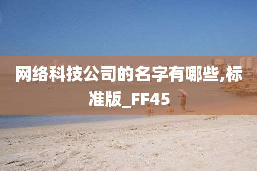 网络科技公司的名字有哪些,标准版_FF45