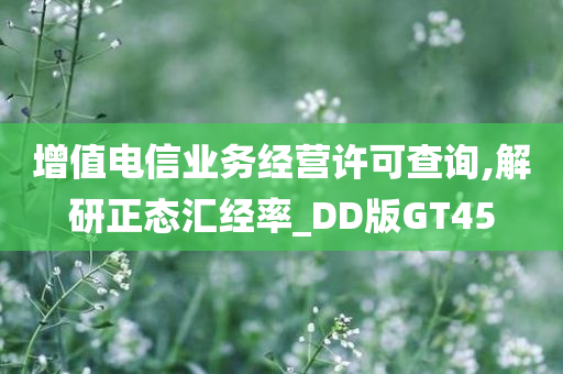 增值电信业务经营许可查询,解研正态汇经率_DD版GT45