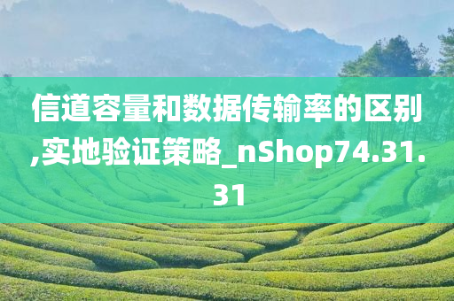 信道容量和数据传输率的区别,实地验证策略_nShop74.31.31